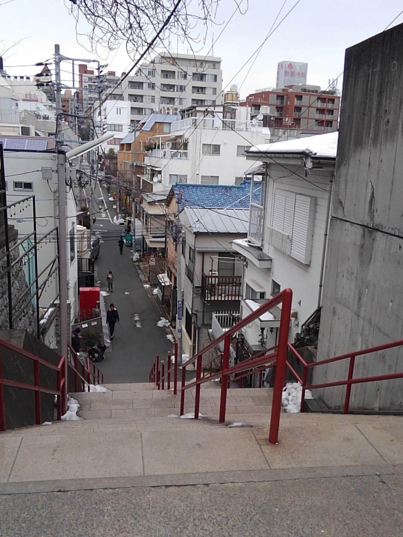 Suga Shrine Stairs in Tokyo