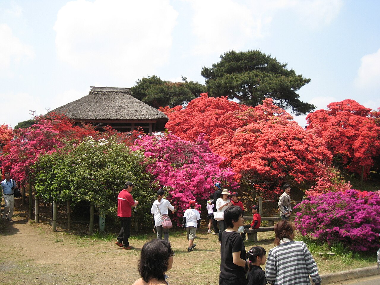 Real-world photo of Tatebayashi Castle Park